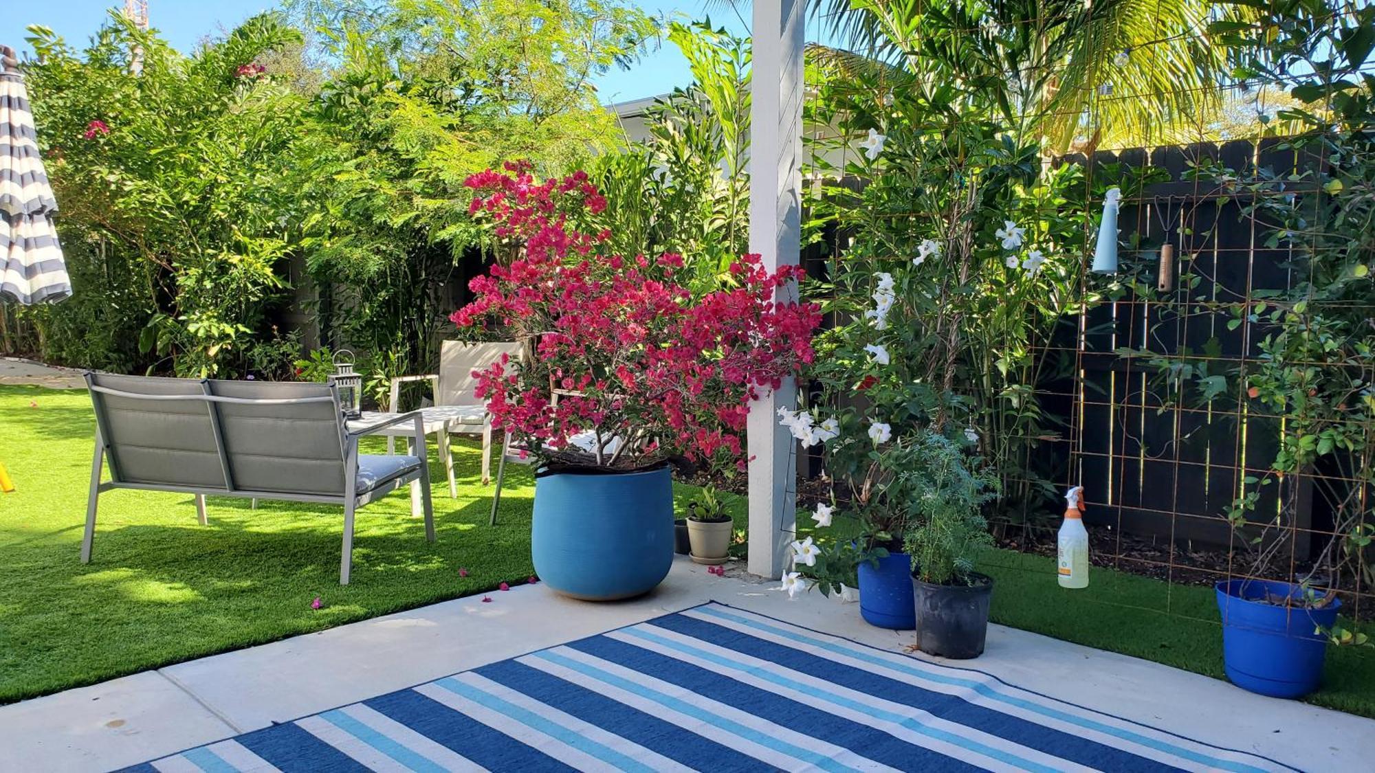 Casa Cuba In Little Havana, Brickell, Calle 8 And 10 Minutes To The Beach Free Parking Μαϊάμι Εξωτερικό φωτογραφία